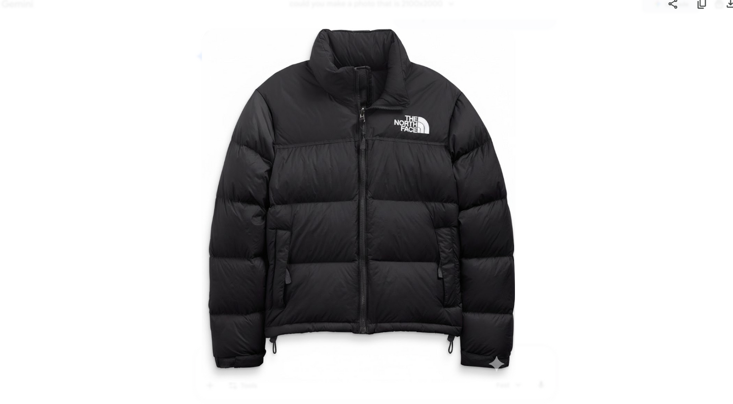 northface jacket