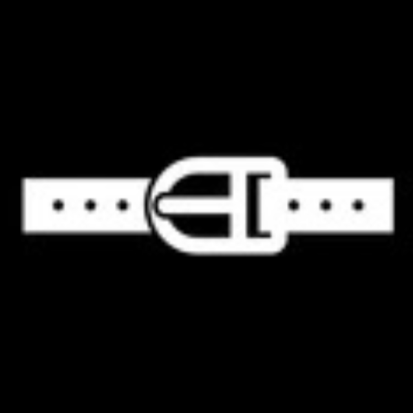 louis Vuitton belt