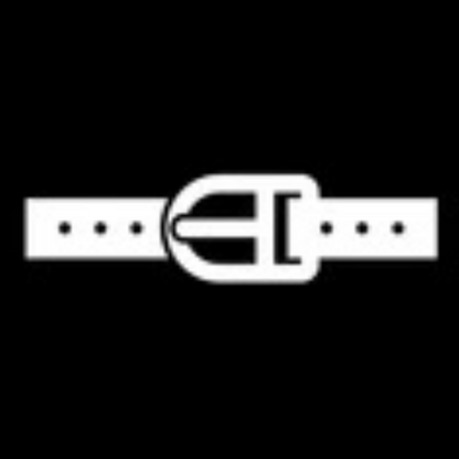 louis Vuitton belt