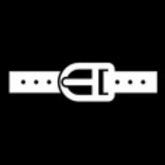louis Vuitton belt